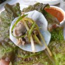 금당 우리집 오리 이미지