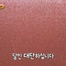 수선 - 고양시 일산서구 일청로8번길 13 | 수선