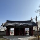 (주)고려여행 | 강화도 필수 여행코스 강화고려궁지 벚꽃 산책 명소 입장료