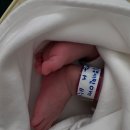 호텔미즈 | 삼성미즈산후조리원 후기