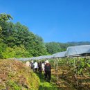 북면406 | 우리는 정쌍은포도주로 연결된 촌스러운사이