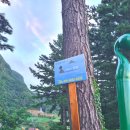 스테이 섬씽 울릉도 이미지