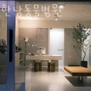 더벳한남동물병원 이미지