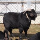 예산농장 이미지