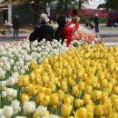 유포리아 이미지