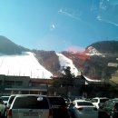 성우행정사 사무소 이미지