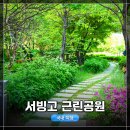 죽전중앙근린공원_R | 서울 여행, 서빙고 근린공원 탐방후기! 카메라 사진 선예도 테스트 (EOS R8 + RF35mm f1.8 MACRO IS STM...