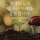 회학 이미지