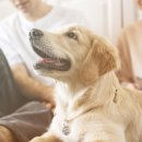 마음동물약국 이미지