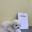 브루하하유치원 이미지