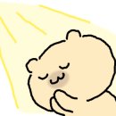 요거블랑 네이버블로그