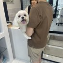 도기살롱 이미지