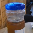 해녀횟집 | [종각역 횟집] 파랑해녀집 가성비 좋은 맛집 솔직한 술집 후기!