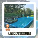 시리미로 | 시리미자연놀이터! 입장료 만원으로 &#39;이거&#39;까지 가능?