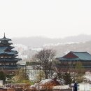 와룡공원 Daum카페