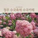 농원원두막 | 청주 수국축제 베이커리 공간, 사람 짱많은 수국카페