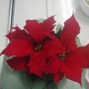 구월1동-15 이미지