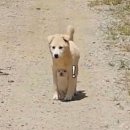 목마식당 이미지