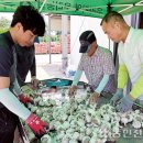 구지농업협동조합 동부지점 이미지