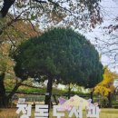 정독도서관