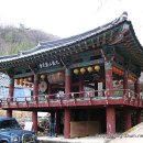 영천 영지사 범종각 이미지