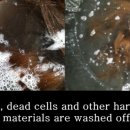 이담헤어 이미지