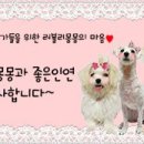 러블리 몽몽 이미지