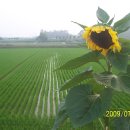 고향황토집 이미지