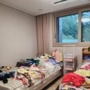 센스퀸 플러스 정리하우스