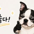 가야산돼지국밥