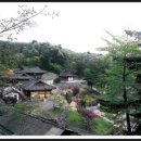 (주)청주석회 | 四字成語 총정리 <ㅂ> 158 백라각환~백록동서원