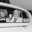 메이플동물병원 이미지