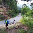 가리왕산가는길 이미지