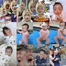 회성동266 이미지