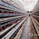 정열축산
