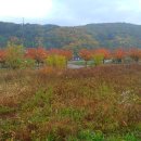 삼성전원공인중개사사무소 이미지