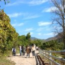 반디민박 이미지