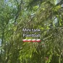 페인트볼 이미지