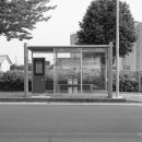 효돈로,일주동로 이미지