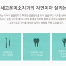 마인드치과의원 이미지