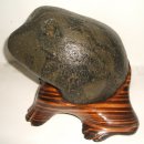 복두꺼비 이미지