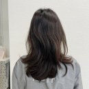 트리드헤어 | 세종 나성동 미용실 트리드헤어 클리닉 시술 솔직후기