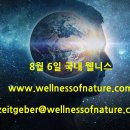 타이드스퀘어투어비스 이미지