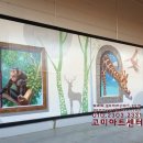 그림동물병원 이미지