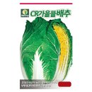 농업회사법인 나린뜰 주식회사 | 김장배추의 대표주자! CR가을뜰배추 씨앗 -가을배추