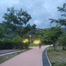 김제 모악산 캠핑파크(자동차) | 김제 모악산 캠핑장 , 김제 모악산 캠핑파크 후기 / 꽃피는 봄 캠핑 마려운 날씨~