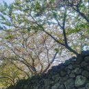 화북진지 이미지