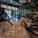 그레이짐 이미지