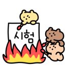 서경중학교 이미지