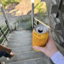 그랑프리 승마파크 이미지